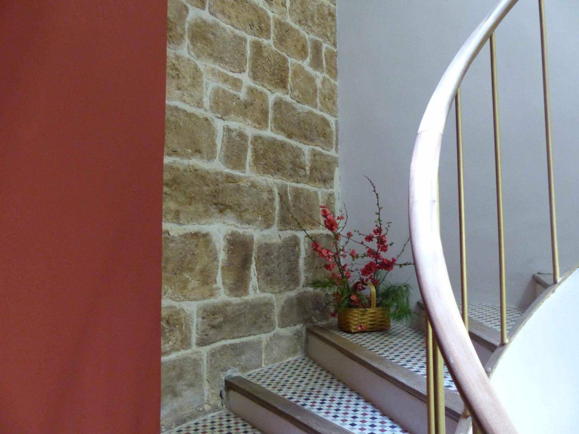 Apartamento Abside De San Juan I Estella Exteriör bild